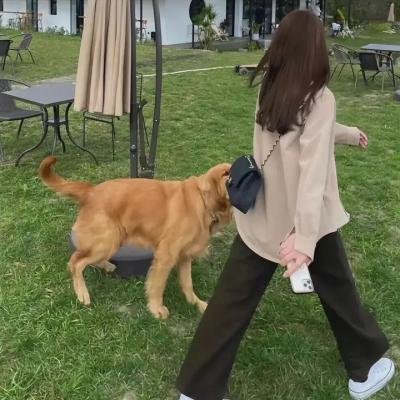 多莉·巴顿的七彩圣诞爱之圣环